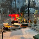 쉼51 | [경기/파주] 헤이리마을 북스테이 모티프원 두번째 책방, 프레농 비라스카(Wiraszka)에서 2박 3일 쉼 후기