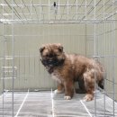 부악로 2 이미지