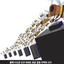 벌떼 이미지