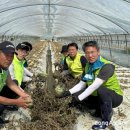강경농협주유소 이미지