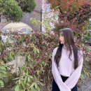 조아(ZOA) 이미지