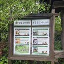 아침고요 | 가평 아침고요수목원 내돈내산 이용 후기!
