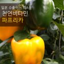 김재승농장 네이버블로그