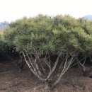 황금농장2 이미지