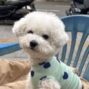 연제구-169 이미지