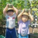 🥘요리활동 ㅡ단호박 부침개🥘 이미지