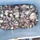 바닷가 풍경 | 청산도올레펜션에서 바닷가 풍경과 하루 숙박, 잊지 못할 후기