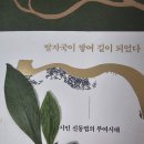 나무샾 네이버블로그