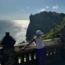 상록수슈퍼 이미지