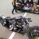 보리수하 이미지