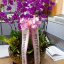 매원초등학교 이미지