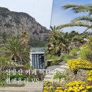 제주 산방산 카페 추천 2곳 비교, 소색채본 vs 원앤온리 오션뷰 솔직 후기