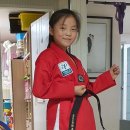 용인대 태풍태권도 이미지