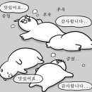 우츠와 이미지