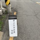 애시드브라운 컴퍼니