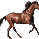 성운산업 이미지