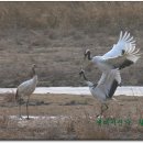 처음, 철원 이미지