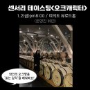 살롱 누보(salon nouvo) | 센서리 테이스팅<보졸레누보> 후기 / 와인살롱 와인클래스