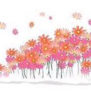 무한가돈 이미지