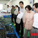 율포물양장 이미지