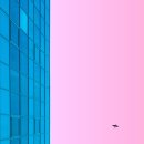 핑크핑크해