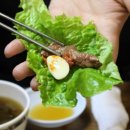 동갈매기 이미지