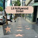영희라라샵 | LA 할리우드 거리 : Hollywood street 명예의거리 돌비극장장&차이니즈 시어터 이병헌&안성기 배우님...