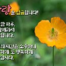 1월 8일 수요일 기분 좋은 날~^^ 이미지