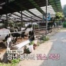 칠악골목장 네이버블로그