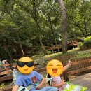 용인자연휴양림 | [용인 자연휴양림 방문 후기] 가족 피크닉, 목공 체험까지! 알찬 하루 보내고 왔어요. feat.원터치 텐트