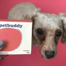 버디메디칼 이미지