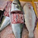 부두회수산 이미지