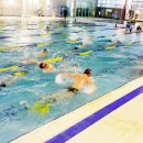 국민체육센터(수영장) 이미지