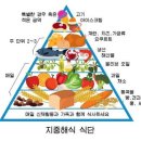 장수의 비밀을 찾아서: 블루존 식단과 건강 수명 가이드 이미지