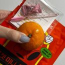 아울렛DC백화점 | 역곡에서 유지력으로 소문난 쥬리크 속눈썹펌 내돈내산 후기