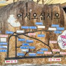 다세정식당 네이버블로그