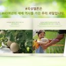 곡성-188 이미지