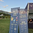 김해시푸드마켓 | 부산 아이랑 가볼만한곳 l 별바다부산 나이트마켓 2025 (주차. 준비물) 내돈내산 후기