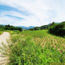 북단양농협적성지소 | 단양토지매매 면적 4,246㎡ 충북 단양군 적성면 상리 단양전원주택 귀농 귀촌 단양오토캠핑장 등 계획...
