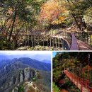 12/06(토) 논산 대둔산 + 공주 갑사 만추여행 이미지