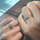 스톤콧