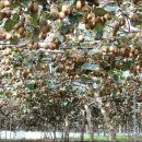 정남진농장 이미지