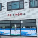돌산새댁