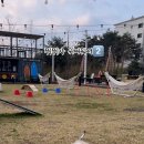 더앤 이미지