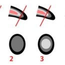 멍멍나래 이미지