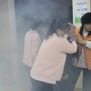 강서구-17 이미지