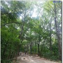 앞산자락길 이미지