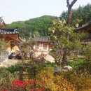 태창모터스 이미지