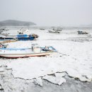 '북극한파'에 전국 동파 신고 2,400건···숭어 8만7,000마리 폐사 이미지