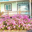 비슬산 풍경펜션 이미지